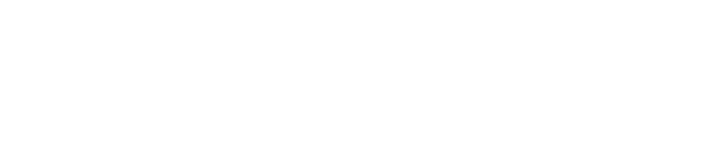 Logo Madis